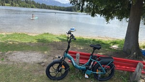 HillMiles E Bike, E-Bike Klapprad mit 36V 13Ah Akku bis zu 80-100km, 20 *3.0 Zoll, 7-Gang SHIMANO, 250W Motor & 25km/h MilePort 1 Kunden-Foto 4