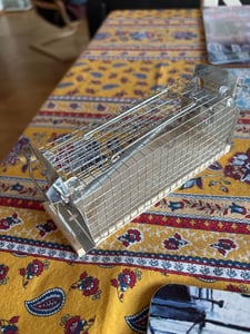 Trappola per topi viva - 4 pezzi - Rispettosa degli animali e riutilizzabile - Realizzata in legnosostenibile - Pronta per l'uso immediato Foto del cliente 4