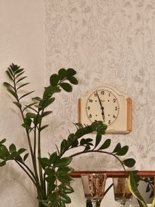 Strukturtapete 10459-14 Vliestapete Blumen Floral 0.53 x 10.05 m Erismann Opus Creme Kunden-Foto 3