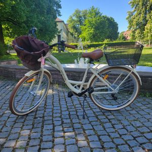 Goetze Mood 26 Zoll City Bike, 17 Zoll Tiefeinsteiger, 6-Gang Shimano Tourney, V-Bremse, LED-Beleuchtung, Gepäckträger, Korb mit Bezug Kunden-Foto 3