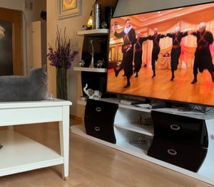 Samsung Q8F QE65Q8FAAU 165,1 cm (65") 4K Ultra HD Smart TV Wifi Gris, Titane Photo du client 2