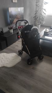 COSTWAY 3v1 skladací kočík pre psov do 15 kg so sieťovanými oknami, strieškou, nosičom, košíkom čierny Fotografia od zákazníka č. 4