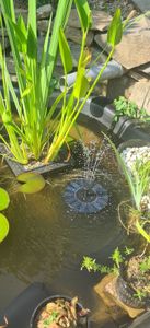 Solar Springbrunnen, Wasserspiel Springbrunnen, Solar Pumpe, Solarbrunnen Solar Teichpumpe Outdoor Wasserpumpe Solar Schwimmender Kunden-Foto 4