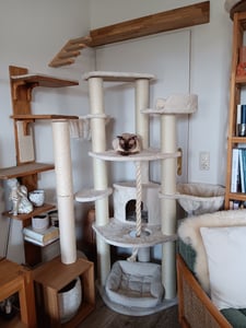 HAPPYPET Großer Kratzbaum Stabil 'Parker' 171 cm - 11 cm Stämme, Große Liegemulden, Kratzrolle, Kletterbaum XXL Katzenbaum für Katzen, Grau Kunden-Foto 2