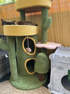 Yaheetech drapak kaktus XS 106,5 cm H, drzewko dla kota z platformą widokową jaskinia dla kota słupki sizalowe, zielony/brązowy Zdjęcie produktu od klienta nr 3
