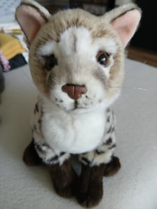 Plüsch-Ginsterkatze 28 cm, umweltfreundlich Kunden-Foto 1