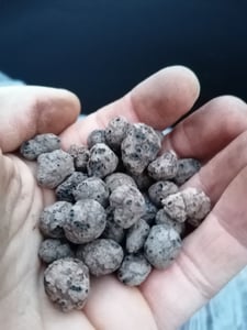 Blähton 8-16 mm 60L Tongranulat für Hydrokultur Innenraumbegrünung und Drainage Tongranulat Pflanzsubstrat 60L Kunden-Foto 4