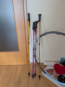 Nordic Walking Stöcke aus Aluminium 65–135 cm teleskopisch goldfarben Kunden-Foto 1