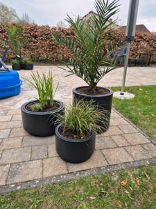 HEOS DLHEN470 runder Blumentopf mit Einsatz | Anthrazit Kunden-Foto 2
