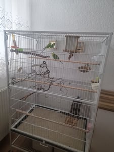 Klatka dla ptaków Yaheetech ze stojakiem, woliera dla ptaków z 3 drewnianymi grzędami i 4 miskami do karmienia, klatka dla papużek na 4 kółkach, woliera dla papug, czarna Zdjęcie produktu od klienta nr 10
