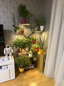 Blumenständer mit Wachstumslicht, 8 Ebenen Blumentreppen, 4 Räder，122cm/126.5cm Hoch Pflanzenständer Metall Blumenregal für Indoor Balkon,Weiß Kunden-Foto 7
