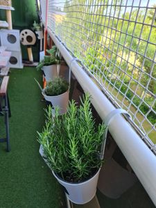 Blumentöpfe 4 Stück Hängetöpfe Weiß zum Beschriften 15 cm Kunden-Foto 1