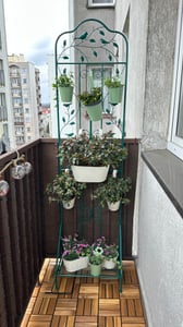 COSTWAY traliccio in metallo, 3 in 1 recinzione decorativa da giardino, scaffale per fiori e supporto per piante, supporto per arrampicata indipendente, traliccio da giardino (bianco, 1 confezione) Foto del cliente 1