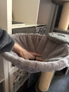 Purpurra Kratzbaum Extra-Dick Stämme XXL Stabil für Grosse Katzen, 114/170 cm Kunden-Foto 6