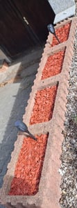 Plantop Dekor Mulch, oranje, 50 liter Klantenfoto 3