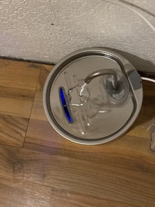 Automatischer Edelstahl-Haustier-Wasserbrunnen 2,2 l – leise Pumpe, kein Verschütten, Filter – Trinkbrunnen für Hunde & Katzen Kunden-Foto 2