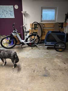 DOGGYHUT® Premium XL Hundefahrradanhänger Hundeanhänger Fahrradanhänger Kunden-Foto 2