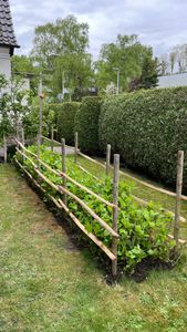 Staketenlatten aus Kastanienholz - gespaltene Naturlatten Kastanie 80 cm Kunden-Foto 1