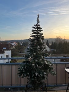 FCH Umelý vianočný stromček 213 cm, 870 konárov z PVC materiálu, špicatý vrchol biely nástrek Fotografia od zákazníka č. 4