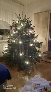 Erzgebirgslicht - AUSWAHL - 10 Stück LED Filament Topkerze 48 V 0,2 W für INNEN, für 5 Brennstellen E10 Riffelkerze Ersatzbirne Glühbirne Glühlämpchen für Lichterketten Pyramide Schwibbogen Kunden-Foto 5