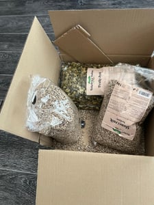 Sonnenblumenkerne geschält - 25 KG Sack - Bäckerei-Qualität - Großvorrat - Ungesalzen Kunden-Foto 1