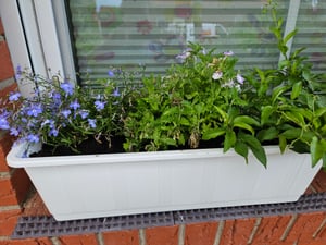 Skrzynka balkonowa Geli AQUA GREEN White 60 cm z systemem nawadniania - plastikowa Zdjęcie produktu od klienta nr 1