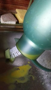 EMSA SAMBA ISOLIERKANNEN, Karaffe, 1,5 l, Schwarz, Glas, Kunststoff, Polypropylen (PP), 12 h Kunden-Foto 2