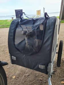 DOGGYHUT® MEDIUM Hundefahrradanhänger Hundeanhänger Fahrradanhänger Kunden-Foto 5