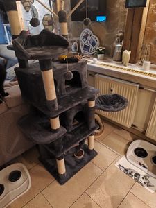 Yaheetech Katzenbaum 170cm Kratzbaum XL Stabiler Kletterbaum für Katzen, mit Aussichtsplattform Katzenhöhlen Hängematte Liegemulde, Beige Kunden-Foto 2