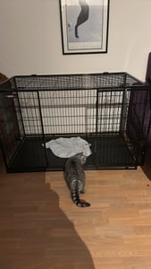 FEANDREA Hundekäfig, Hundebox mit 2 Türen, 139 x 79 x 87 cm Kunden-Foto 1