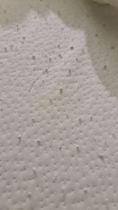 Arensberger Matratzen Topper PREMIUM, 160x200cm, Gelschaum Matratzentopper, waschbarer Bezug, geeignet für Federkern & Schaumstoff Matratzen, Höhe 8cm Kunden-Foto 2