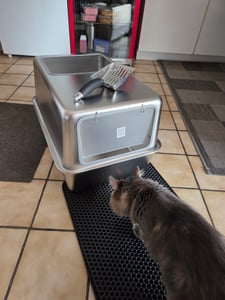 Katzenklo Edelstahl XXL mit Deckel – Katzentoilette Geschlossen mit Frontklappe & Top-Einstieg – 38L Katzentoilette Edelstahl – 60x40x33cm  – Leicht zu Reinigen & Geruchsresistent mit Schaufel & Matte Kunden-Foto 2