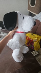 Simba Pluche knuffel, Peanuts, Snoopy, Flopsie, 40 cm, artikelnummer 109371701 Klantenfoto 1