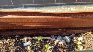 DELUKE® Hochbeet aus Cortenstahl ISAK | unten offen | Pflanzenbeet Gartenbeet Metall Blumenbeet Beet hoch Frühbeet für Garten Gemüsebeet, 100x40x45cm Kunden-Foto 10