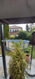 Piscina rotonda Steel Pro MAX in acciaio 488x122 cm Bestway 5612Z Foto del cliente 2
