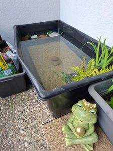 HEISSNER B501-00, Schwarz, Vorgeformter Teich, 500 l, 80 Stück(e), 8,16 kg, 540 mm Kunden-Foto 3