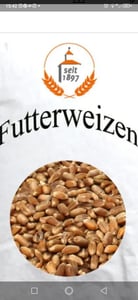 LanDixx Weizen 25 kg Landweizen Futterweizen Geflügelfutter Vogelfutter Hühner gereinigt Kunden-Foto 1
