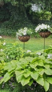 Korb am Stab Pflanzkorb braun Metall Pflanzschale Garten Deko Ø30cm H30cm L146cm Kunden-Foto 1