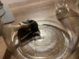 Teekanne mit Edelstahlsieb Elegant, 1500 ml, schwarz Kunden-Foto 1