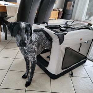 Leopet Přepravní box pro psy XXXL, 102 x 69 x 69 cm, šedý Fotografie od zákazníka č. 1