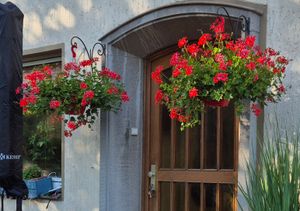 Blumenhaken, Laternenhaken, Wandhaken,  Eisenhaken, massiv, Landhaus Kunden-Foto 1