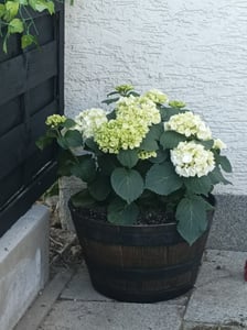 Doniczka Strend Pro Woodeff, 39x23 cm, złota, efekt drewna Zdjęcie produktu od klienta nr 1