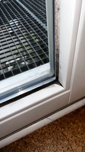 VEXIL Profi Schimmelentferner für Wand, Bad, Fliesen, Fugen & mehr – mit AKTIV-CHLOR und HAFTEFFEKT – Extra starkes Schimmelspray –  Germany Kunden-Foto 1