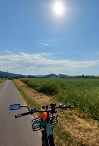 ROCKBROS Borsa portabottiglie con foglio di alluminio isolato e tracolla Radfahren MTB Foto del cliente 1