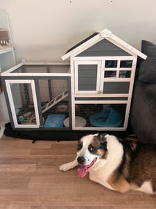 PawHut konijnenhok, dennenhout, kooi voor kleine dieren, hok voor kleine dieren met helling, grijs Klantenfoto 1