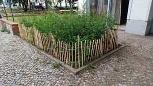 SEVICO 5m Staketenzaun 35cm x 5m mit Lattenabstand 3-4cm mit Pflock Zaunlatte Gartenzaun aus Haselnuss Natur STAHLKRAMPEN GRATIS V37 3-4 Kunden-Foto 6