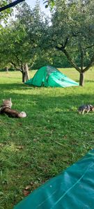 Campingzelt Laagri, 6-Mann Zelt Kuppelzelt Igluzelt Festival-Zelt, 6 Personen  rot Kunden-Foto 1