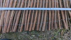Weidenzaun Natur Sichtschutz aus Holz kürzbar rostfrei Fachhandel-Qualität 150x500 cm Kunden-Foto 2