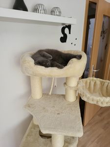 Mein Baby fühlt sich Pudelwohl 