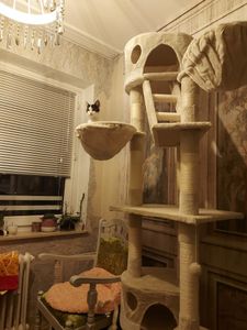 tectake® Kratzbaum Hansi 243 bis 260 cm inklusive 2 Treppen, 2 Spielbällen, Deckenspanner und Kippschutz Kunden-Foto 6